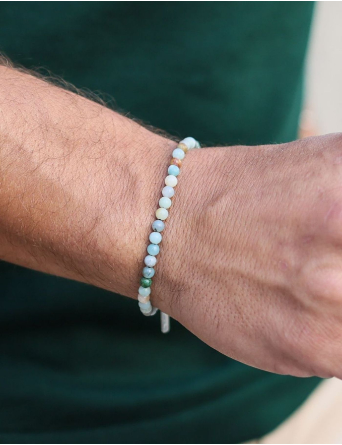 PULSEIRA ORDU